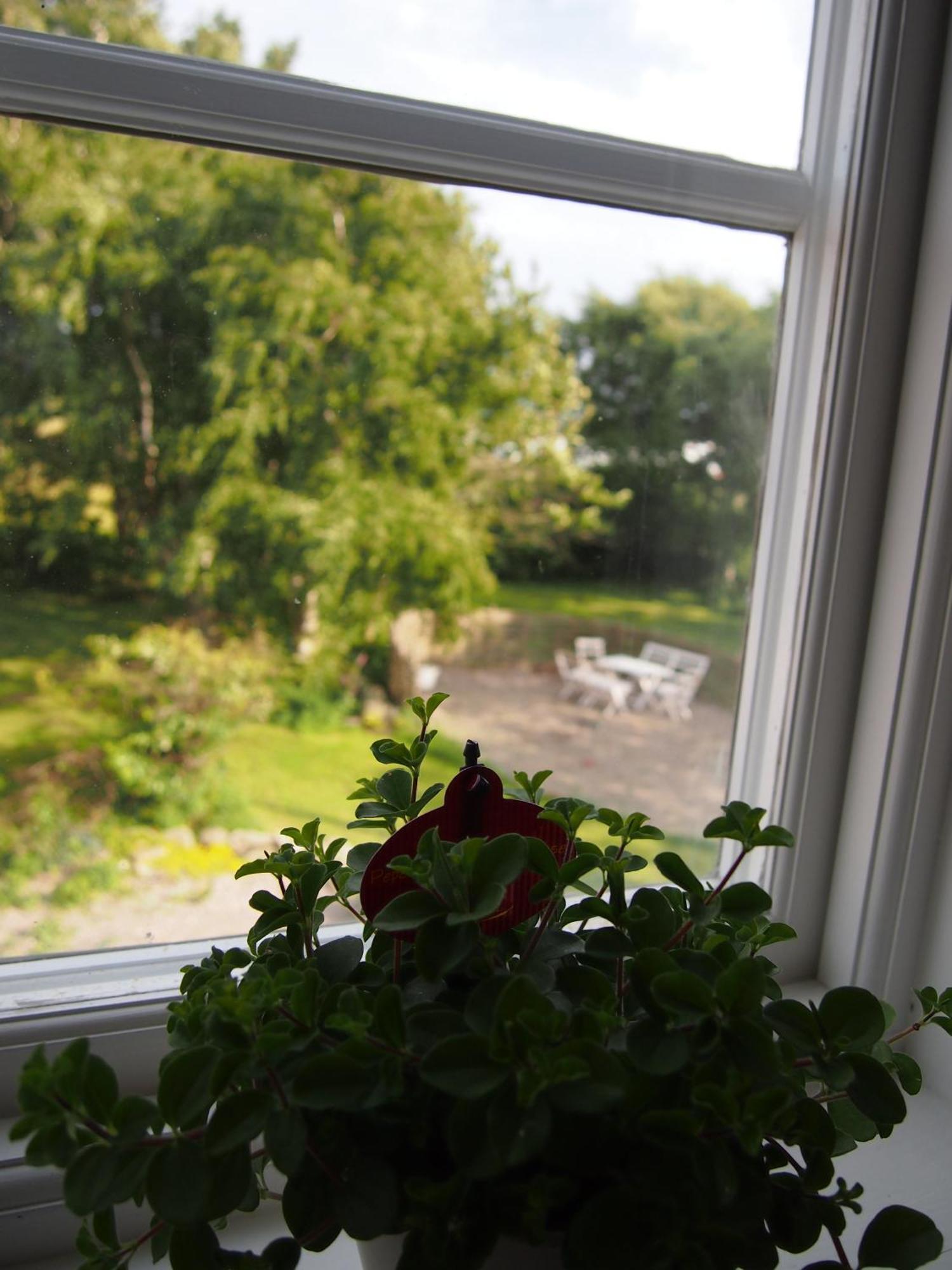 Augustas Bed & Breakfast Bed and Breakfast Falkenbergs Værelse billede